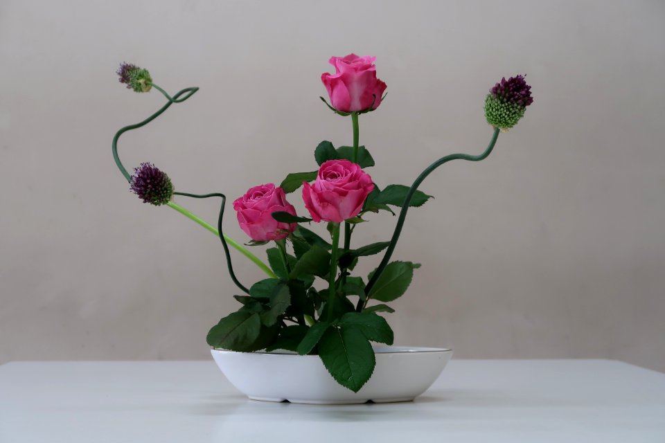 Flower, Vase, Ikebana, Flowerpot photo