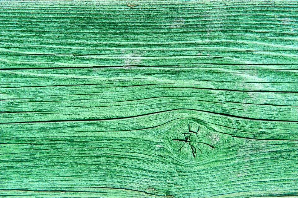 Green, Wood, Line, Grass