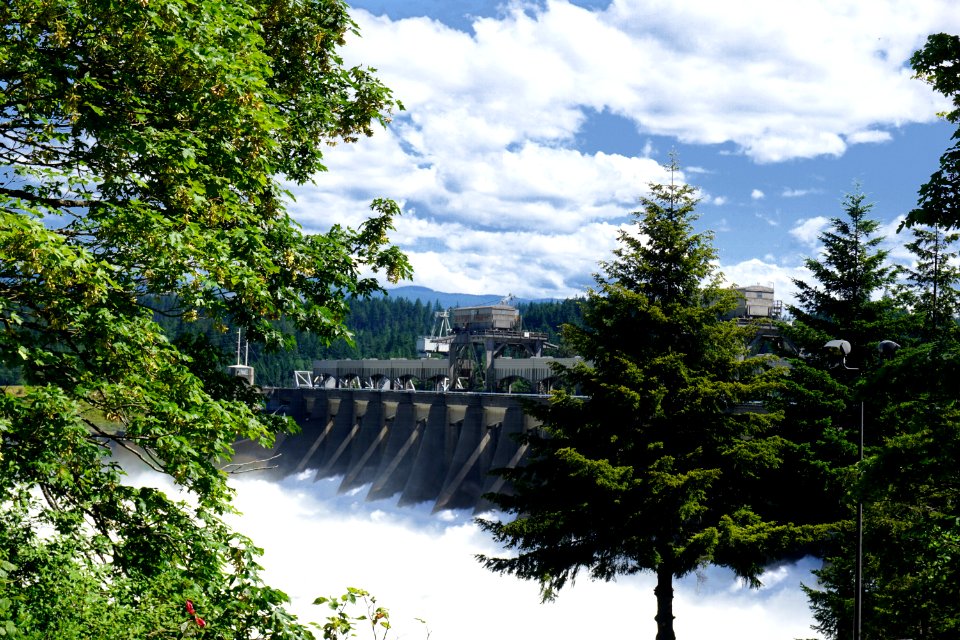 Water, Nature, Sky, Leaf