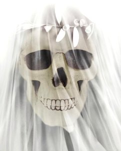 White, Bone, Shoulder, Neck