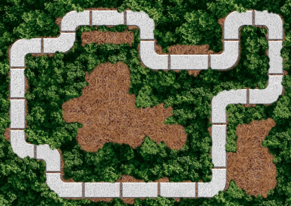 Grass, Vegetation, Garden, Path