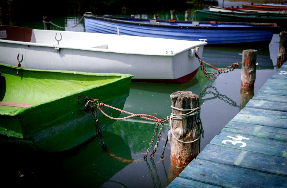 Green, Water, Water Transportation, Waterway