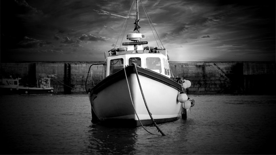 Reflection, Water, Black And White, Monochrome Photography photo