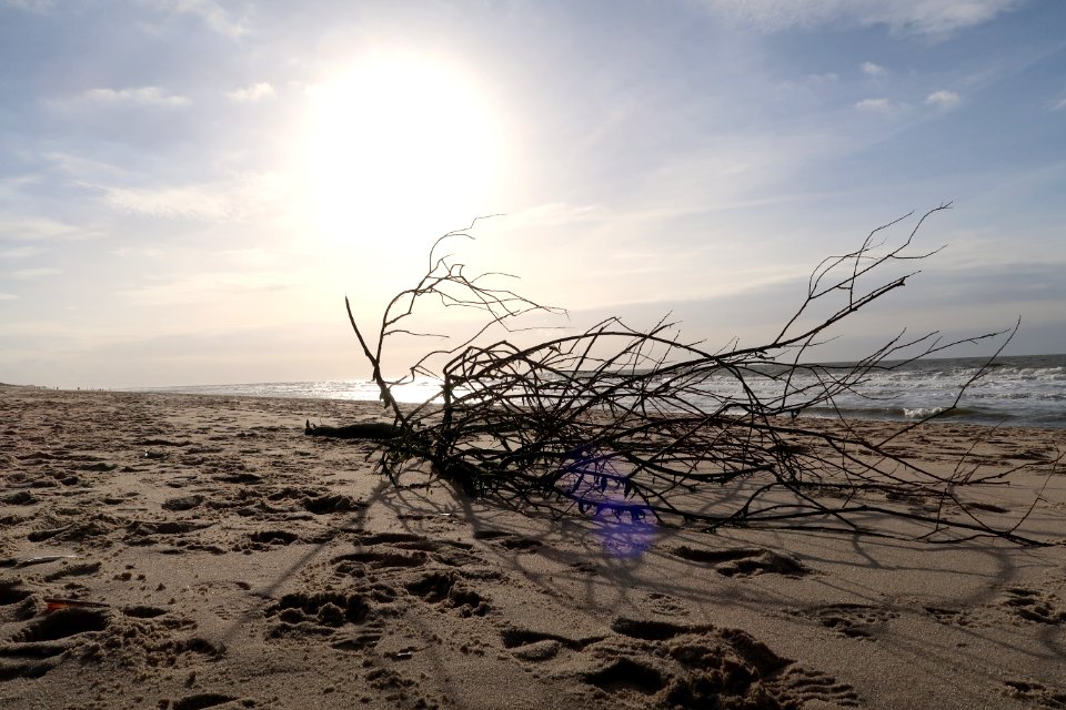 Sky, Sea, Shore, Horizon