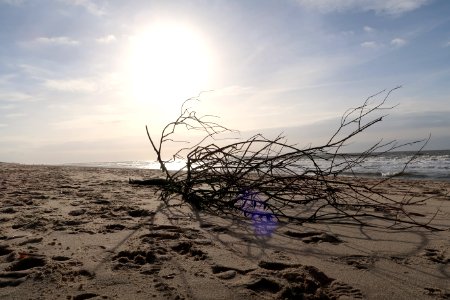 Sky, Sea, Shore, Horizon photo