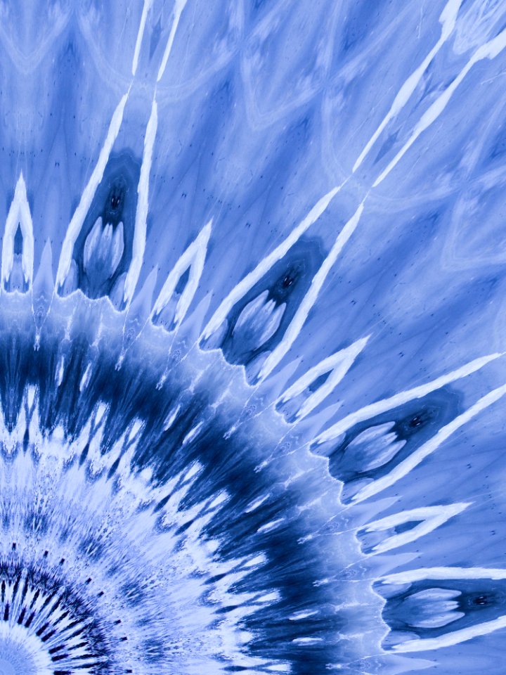 Blue, Water, Flower, Close Up