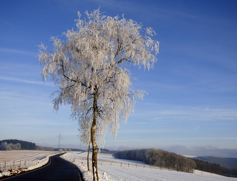 Winter winter landscape snow