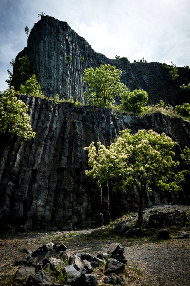 Nature, Vegetation, Tree, Rock