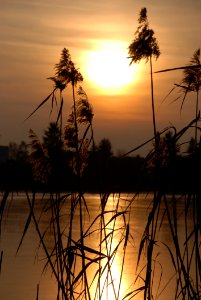 Sky, Sunrise, Sunset, Morning