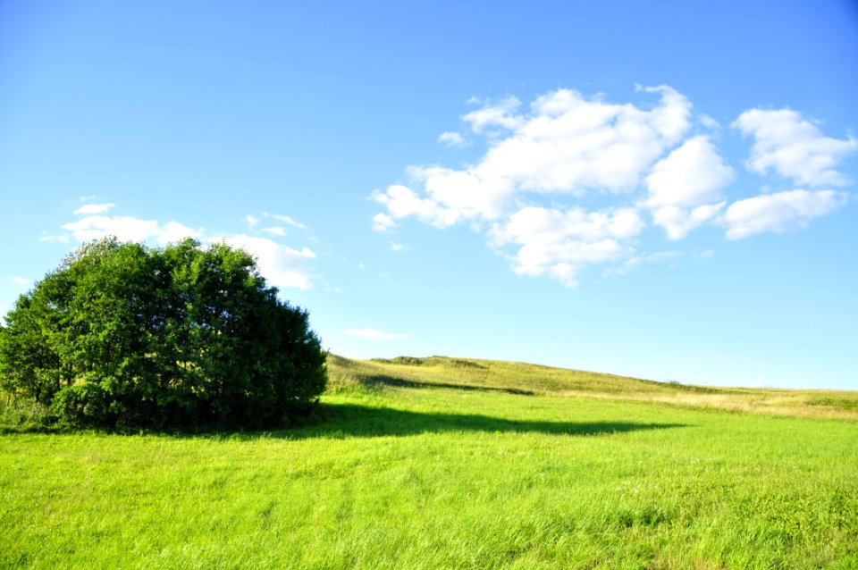 Sky, Grassland, Field, Meadow