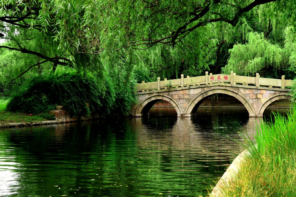 Waterway, Nature, Reflection, Water