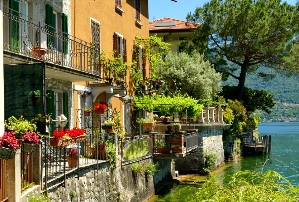 Waterway, Property, Plant, Tree