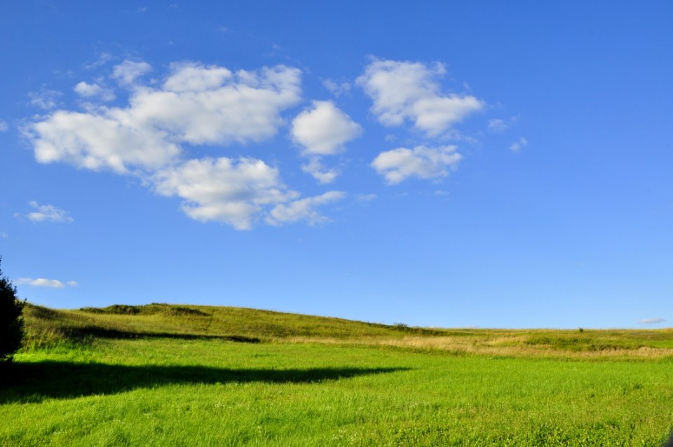Sky, Grassland, Field, Ecosystem