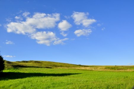 Sky, Grassland, Field, Ecosystem photo