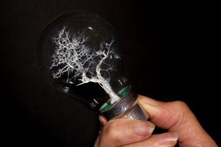 Close Up, Hand, Finger, Smoking photo