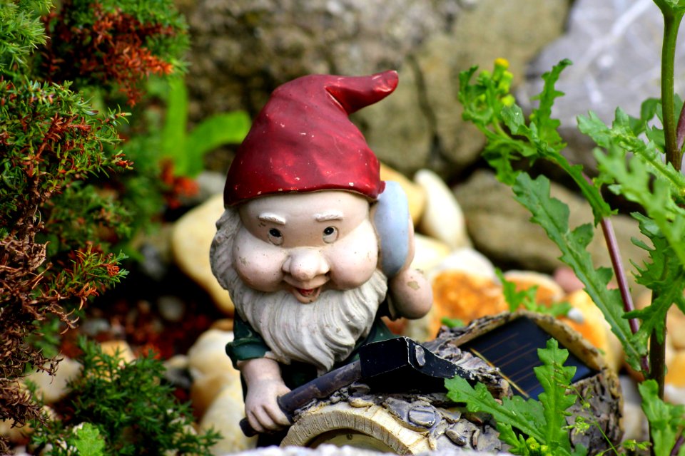 Garden Gnome, Lawn Ornament, Statue, Leaf