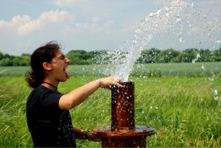 Water, Grass, Water Resources, Tree
