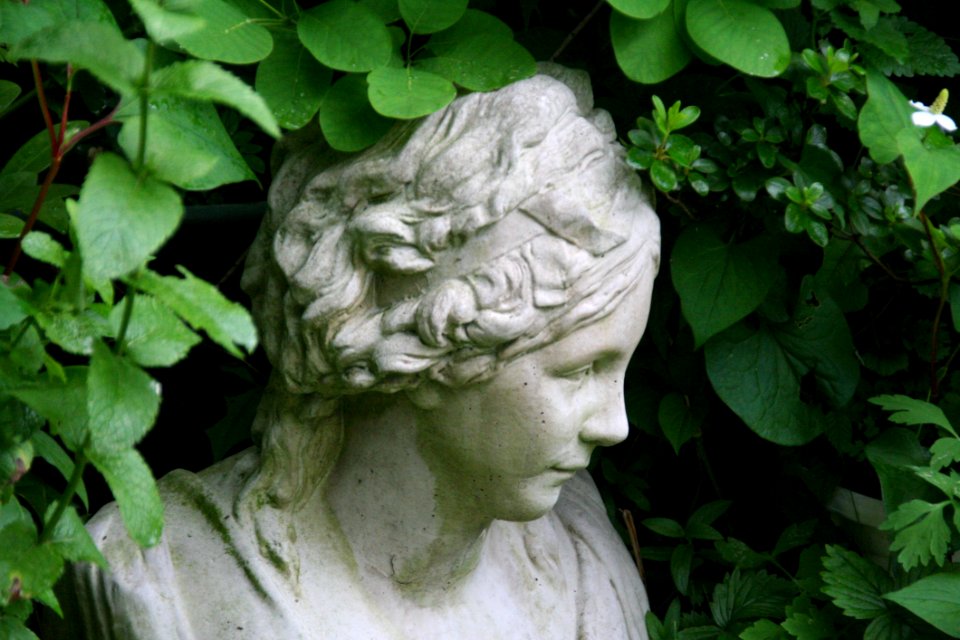 Green, Sculpture, Leaf, Head