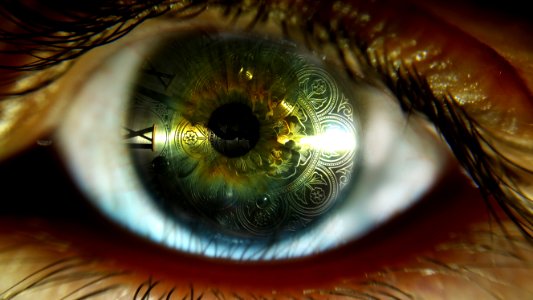 Eye, Eyelash, Macro Photography, Close Up