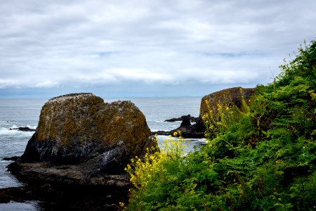 Coast, Headland, Rock, Promontory photo