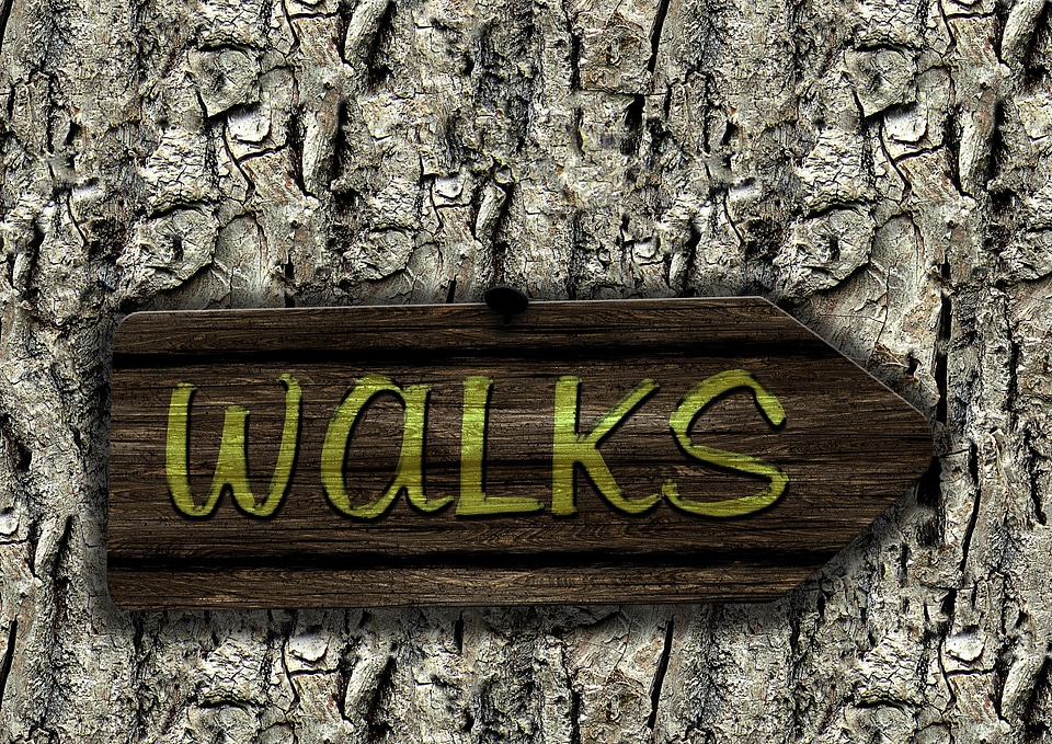 Board directory trail