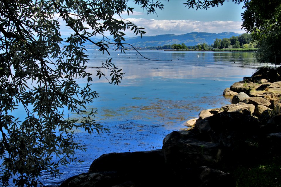 Nature, Water, Reflection, Lake