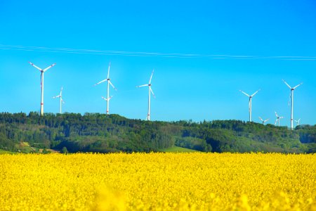 Field, Wind Turbine, Wind Farm, Energy