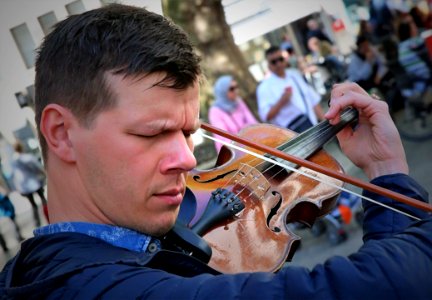 Violin, Violinist, Violin Family, Fiddle photo