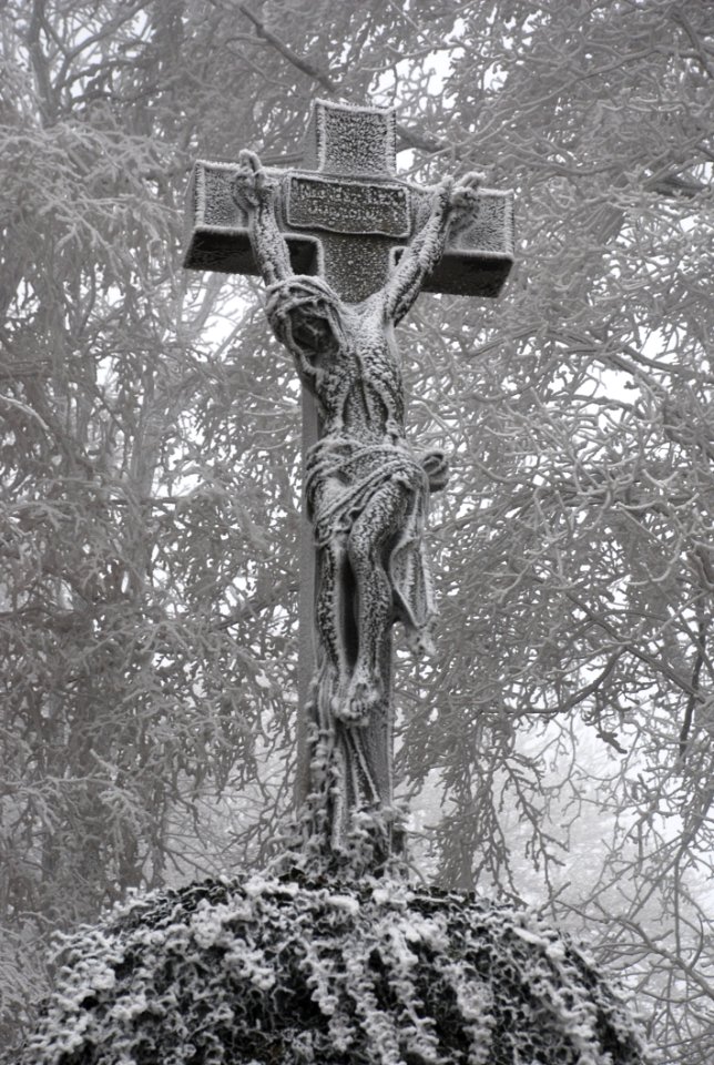 Black And White, Cross, Tree, Monochrome Photography