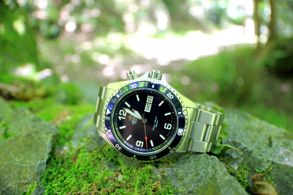 Watch, Photography, Close Up, Grass