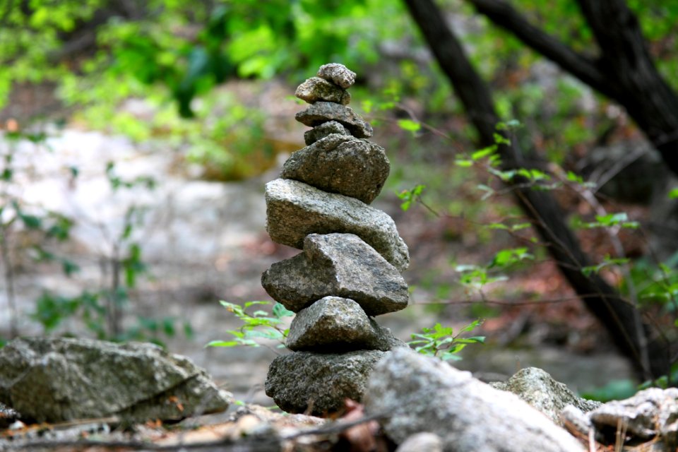 Rock, Tree, Material, Forest