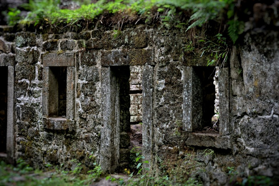 Ruins, Archaeological Site, Wall, Grass