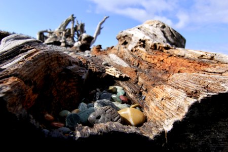 Rock, Geological Phenomenon, Wood, Driftwood