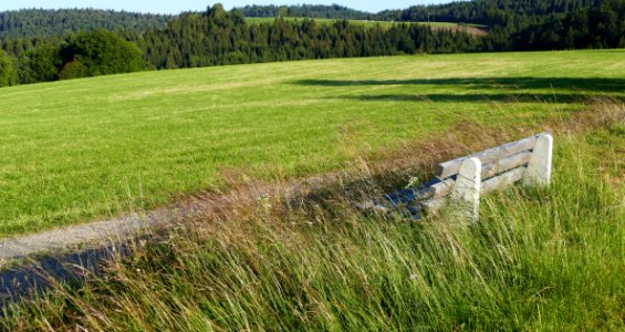 Grassland, Pasture, Ecosystem, Grass