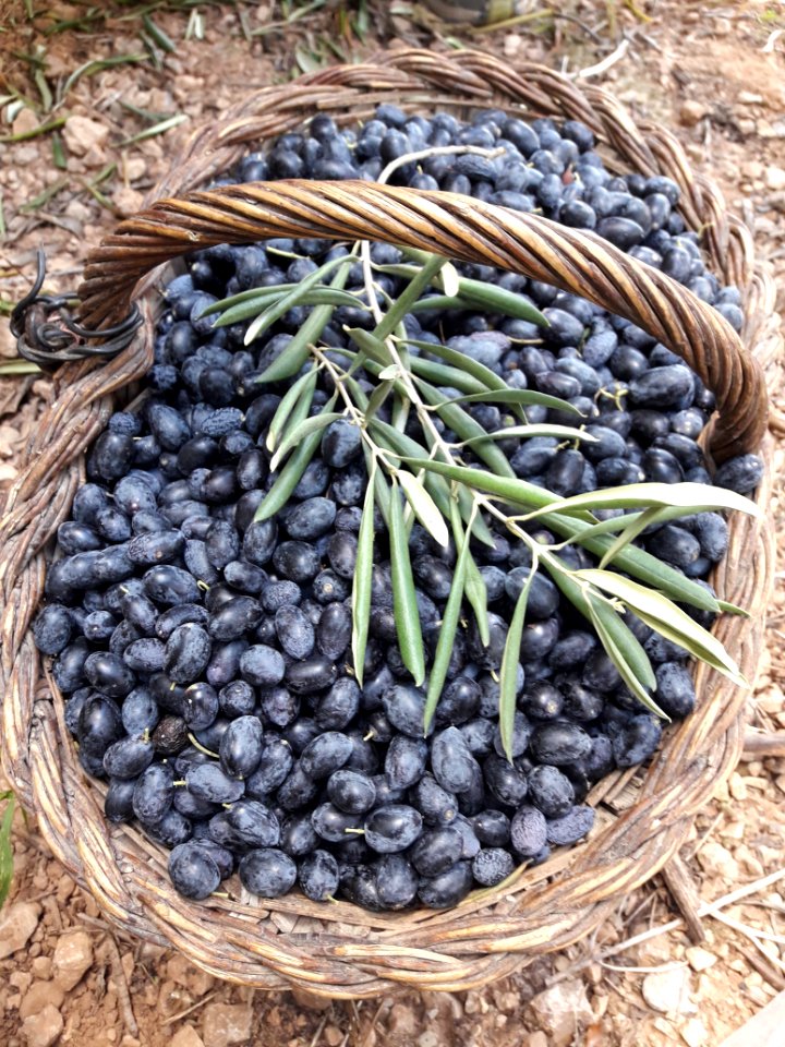 Produce, Fruit, Blueberry, Superfood