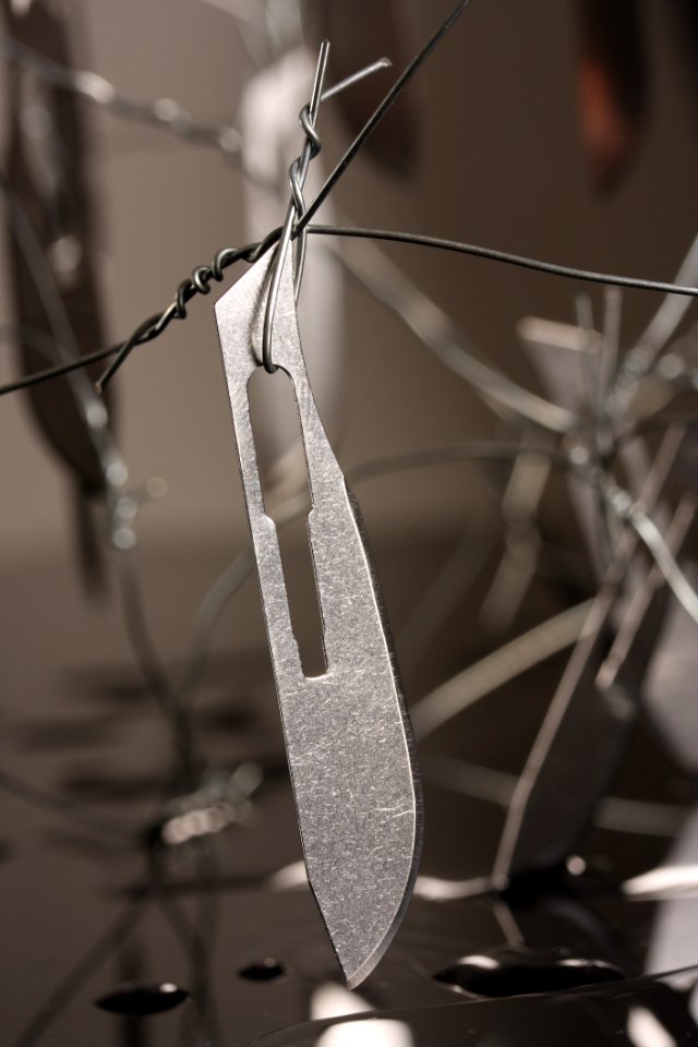Black And White, Twig, Glass, Branch
