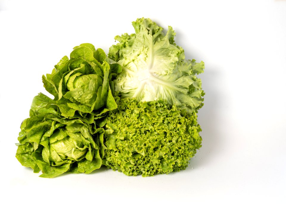 Vegetable, Leaf Vegetable, Produce, Lettuce