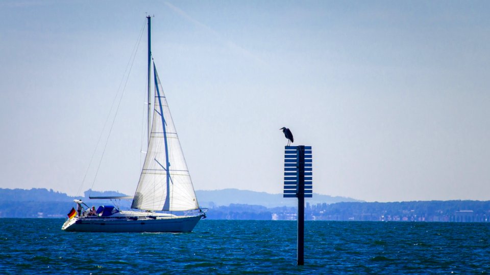 Sail, Water Transportation, Sailboat, Sailing Ship photo