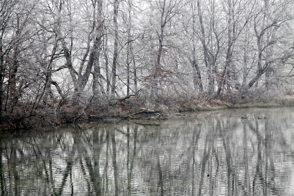 Snow frost reflection landscape