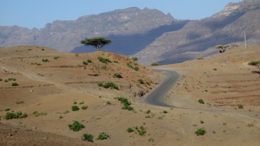 Ecosystem, Wadi, Wilderness, Aeolian Landform photo