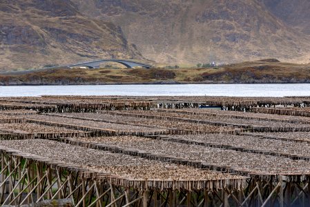Loch, Wetland, Reservoir, Lake