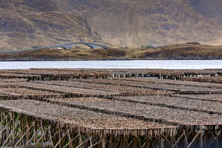 Loch, Wetland, Reservoir, Lake photo