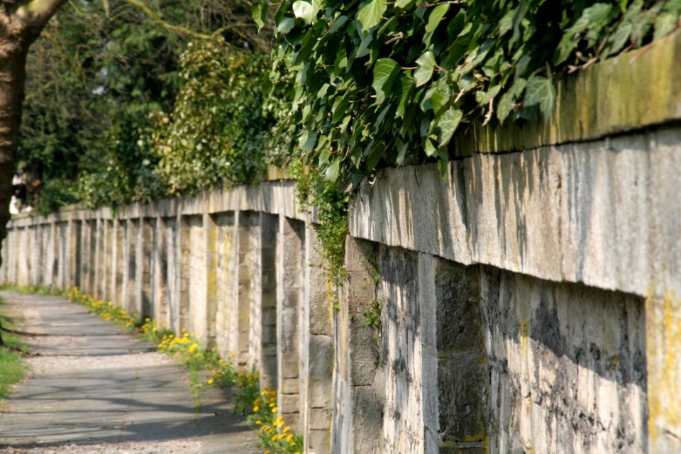 Wall, Fence, Tree, Outdoor Structure