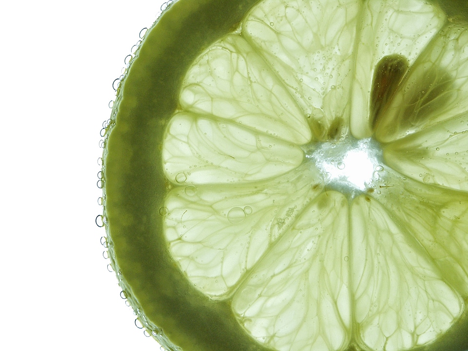 Macro green lime
