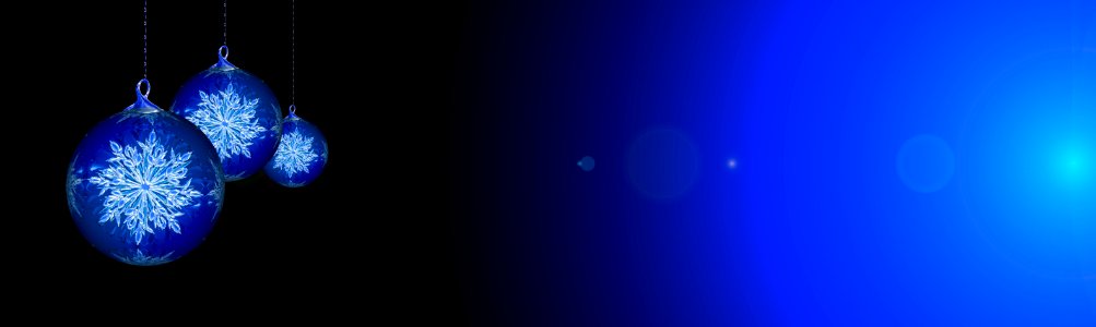 Blue, Cobalt Blue, Organism, Electric Blue