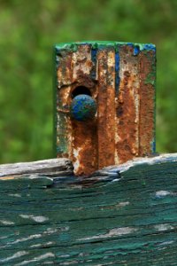 Wood, Rust
