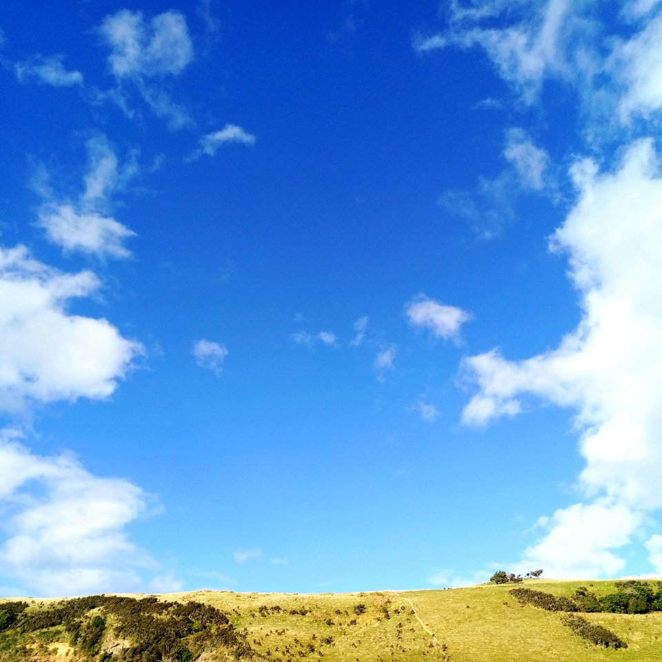 Sky, Grassland, Cloud, Ecosystem
