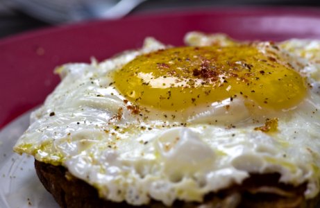 Fried Egg, Dish, Meal, Cuisine photo