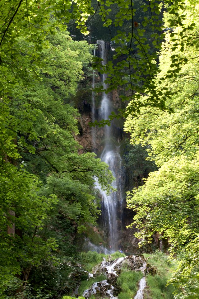 Waterfall, Water, Nature, Vegetation