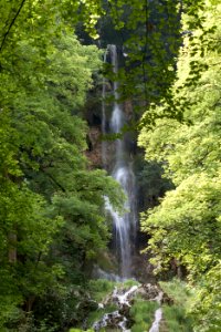 Waterfall, Water, Nature, Vegetation photo